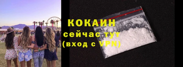 прущие грибы Абаза