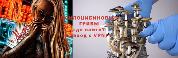ALPHA PVP Куйбышев