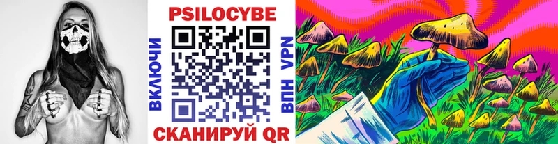 Псилоцибиновые грибы MAGIC MUSHROOMS  Новокузнецк 